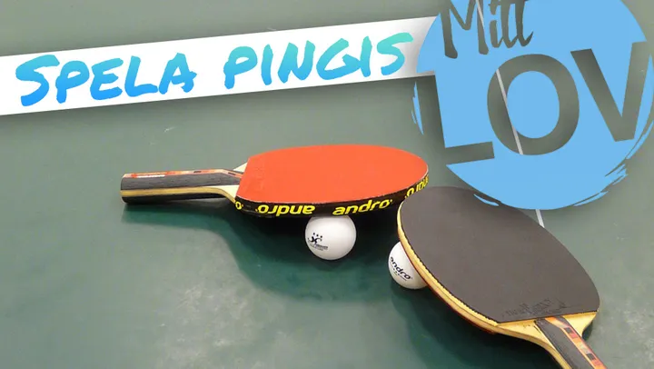 Spela pingis – Norrtälje