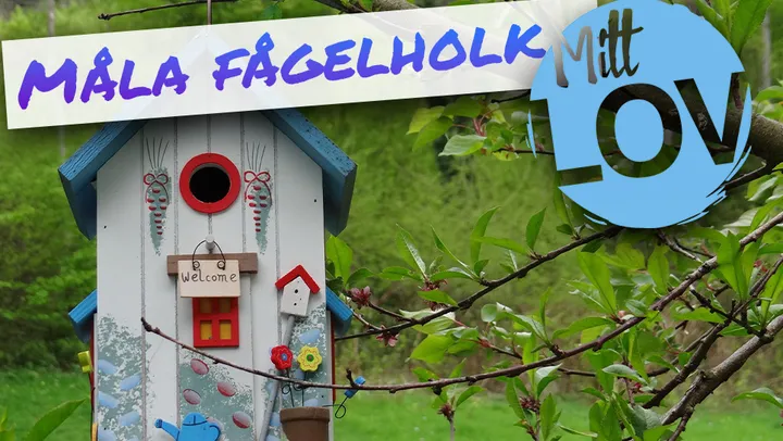 Pyssel - Måla fågelholk – Norrtälje