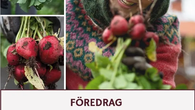 Sara Bäckmo föreläser "Odla kreativt i kris" – Rimbo