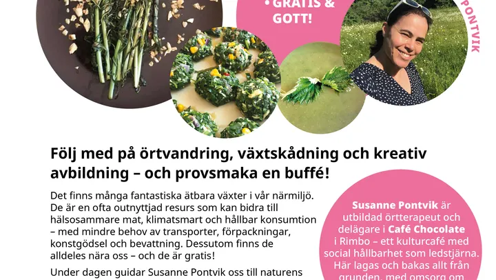 Vilda växter – Rimbo