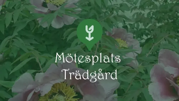 Mötesplats Trädgård – Tidaholm