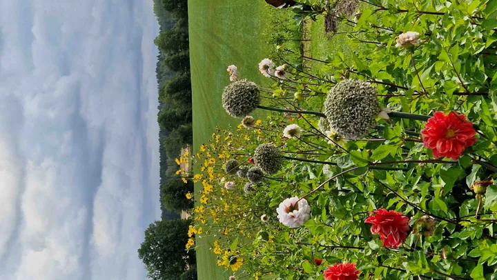 Mötesplats Trädgård – Mariestad