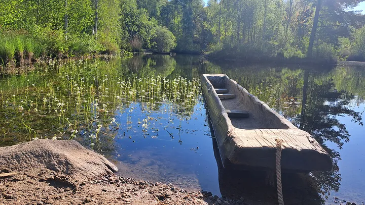 Håva smådjur och kryp på Ekehagens Forntidsby – Åsarp