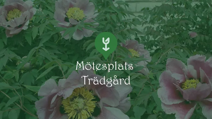 Mötesplats Trädgård – Falköping