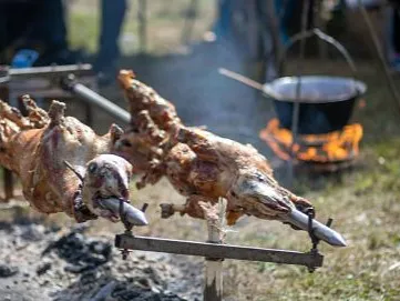 Lammgrillning på Vamlingbo prästgård – Burgsvik