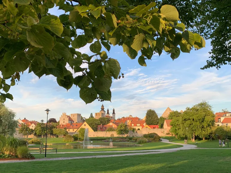 Lunchvisning: om Visbys gröna miljöer – Visby