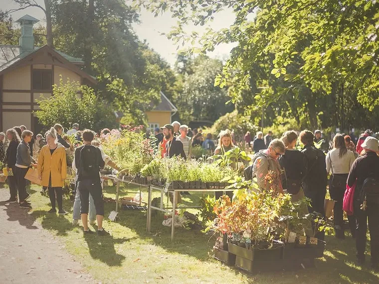 Perennfesten i Lerum  – Lerum