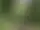 Rävåsen - Naturreservat