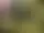 Fasaskogen - med guide