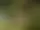 Sommaraktiviteter PJ Erlebnis Profis