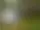 Jätturn Naturreservat