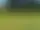 Mofallagolf – Hjo
