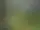 Bredmossen