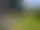 Discgolf