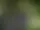 Almesåsens fritidsområde och festplats – Vara